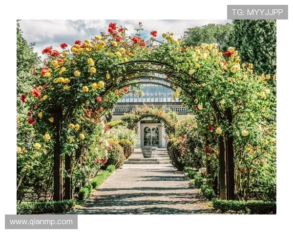 探索布莱克尼的魅力与历史之旅，感受这座城市独特的文化与风情